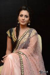 Madhu Shalini at Cheekati Raajyam Movie Success Meet